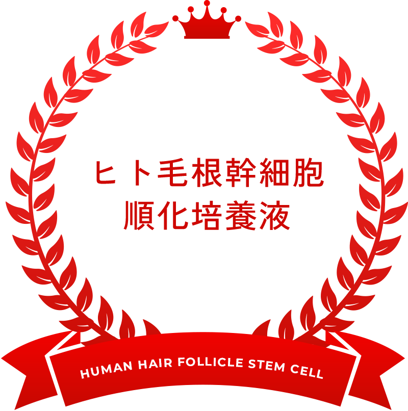 ヒト毛根幹細胞 順化培養液